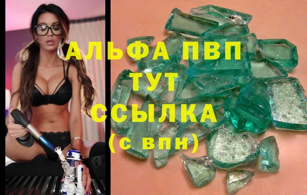 трава Арсеньев