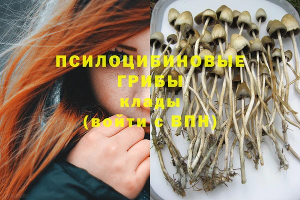 трава Арсеньев