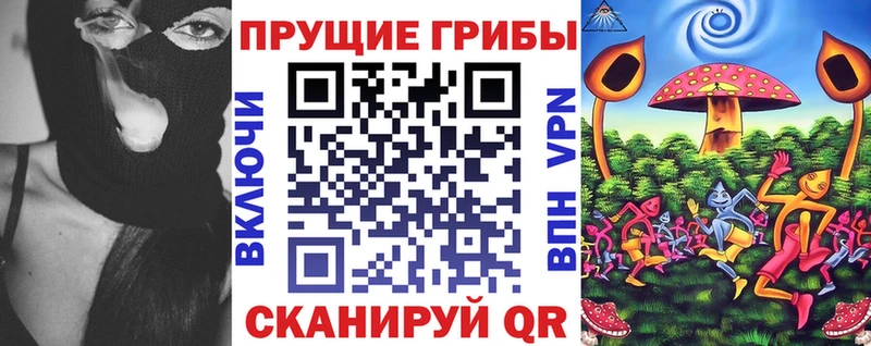 Галлюциногенные грибы прущие грибы  Елабуга 